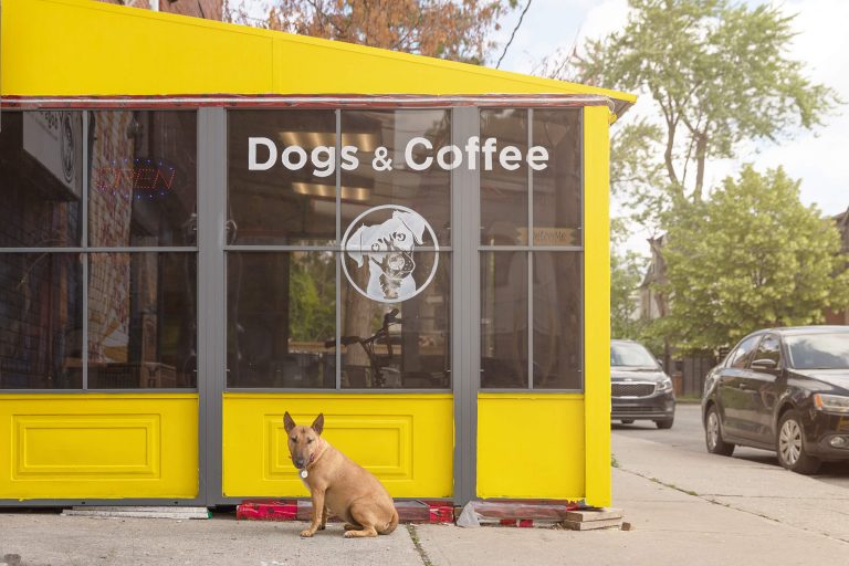 Dogs & Coffee Toronto DogFriendly Directory flydographer™